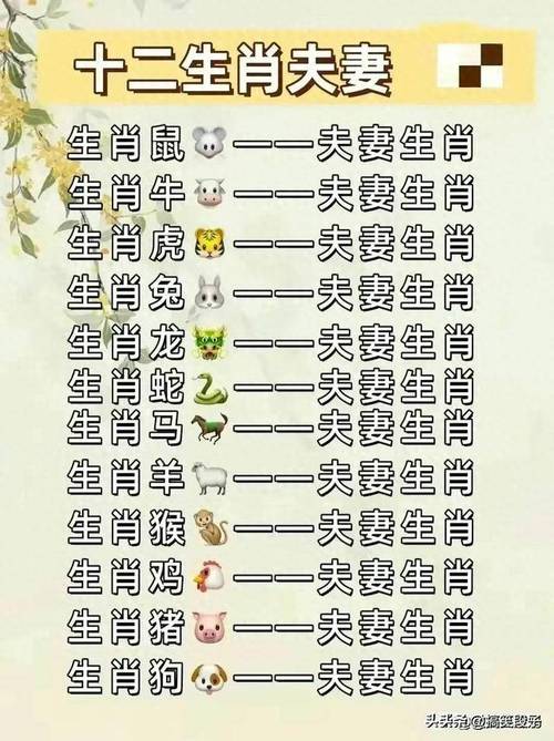 标题：生肖的不同对应